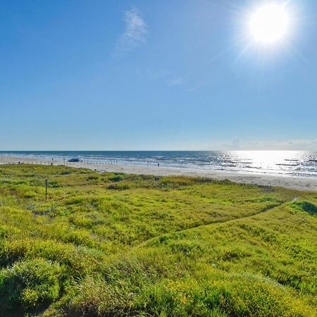 Brannens Beachfront 갤버스턴 외부 사진